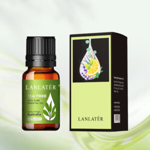 Focus on Skin Care Manufacturing Essential Oil No Chemical Additives Gift Set Essential Oils