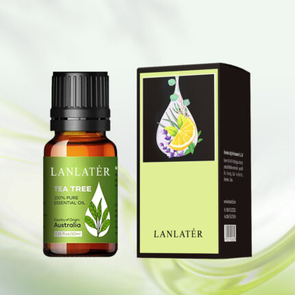 Focus on Skin Care Manufacturing Essential Oil No Chemical Additives Gift Set Essential Oils